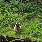 Photo n° 7 de l'avis de Le.i fait le 03/07/2022 à 19:11 pour Zoo d'Amiens Métropole à Amiens