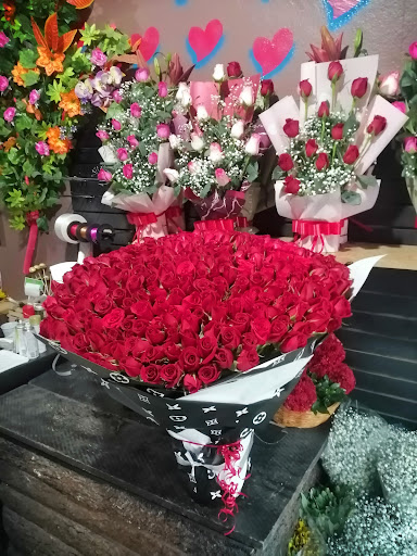 florerias en ciudad hidalgo michoacan, Aranzaflor – Ciudad Hidalgo