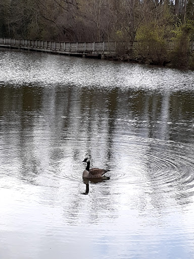 Nature Preserve «Fountain Rock Park & Nature Center», reviews and photos, 8511 Nature Center Place, Walkersville, MD 21793, USA