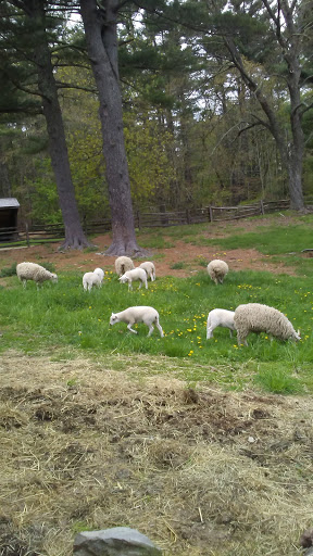 Dollar Store «FAMILY DOLLAR», reviews and photos, 85 Bridge St, Naugatuck, CT 06770, USA