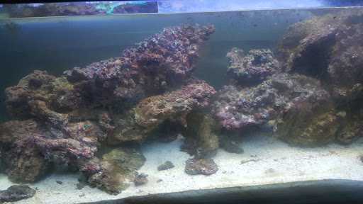 Self-Storage Facility «US Storage Centers», reviews and photos, 2073 Royal Ave, Simi Valley, CA 93065, USA