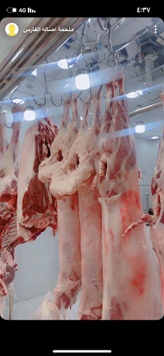 ملحمه اصالة الفارس 