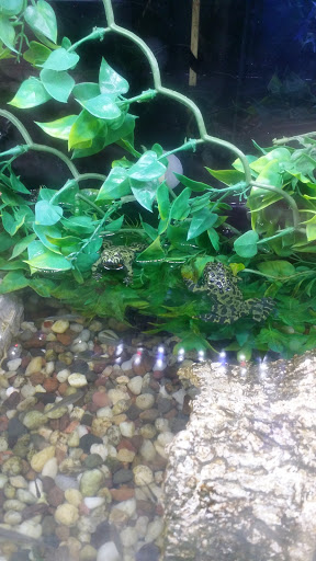 Pet Supply Store «Paws & Claws & Co», reviews and photos, 1801 E Market St, Warsaw, IN 46580, USA