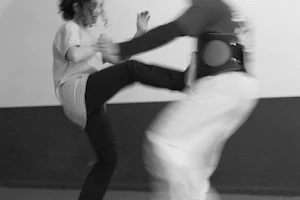 WuDae - Wing Chun Kung Fu Center Den Haag image