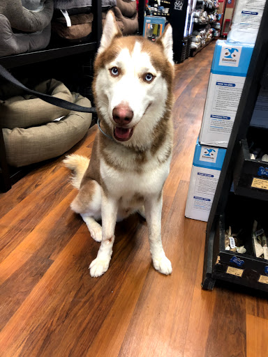 Pet Store «Pet Valu», reviews and photos, 2290 Central Park Ave, Yonkers, NY 10701, USA