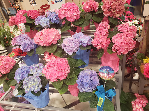 Grocery Store «Schnucks», reviews and photos, 20 Dillon Plaza Dr, High Ridge, MO 63049, USA