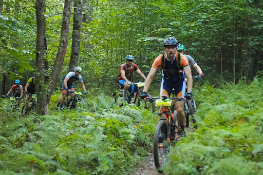 Bicycle Store «Element Sports», reviews and photos, 2009 S Loudoun St, Winchester, VA 22601, USA