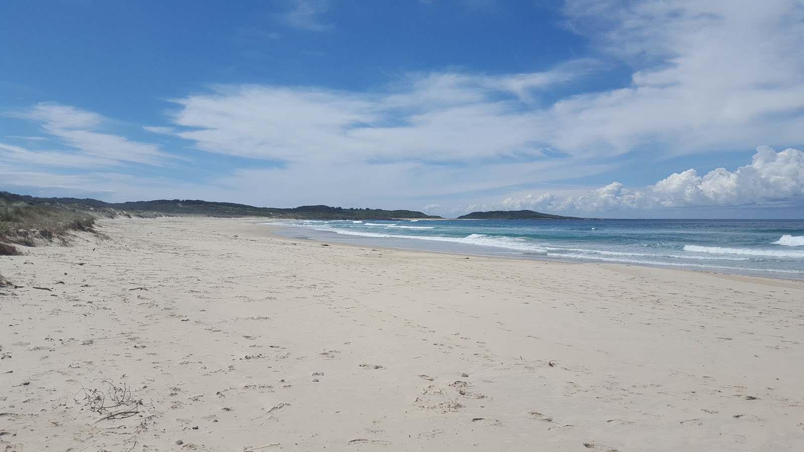 Racecourse Beach photo #7