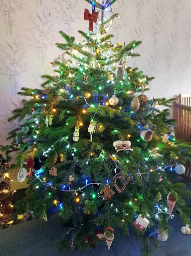 Dodds Christmas Trees Leeds