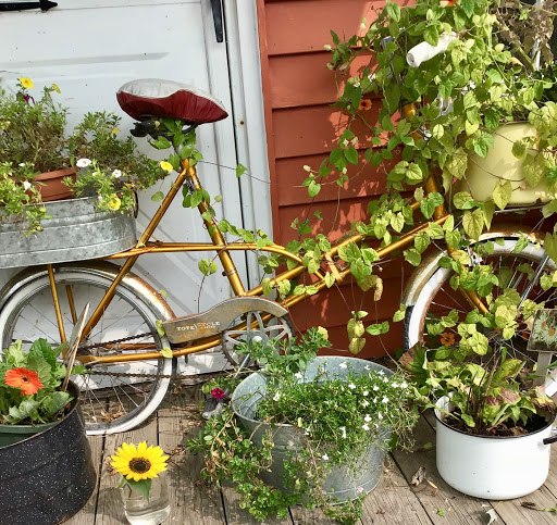 Bicycle Store «Trailside Bicycles», reviews and photos, 16271 Canal Rd, Hulberton, NY 14470, USA