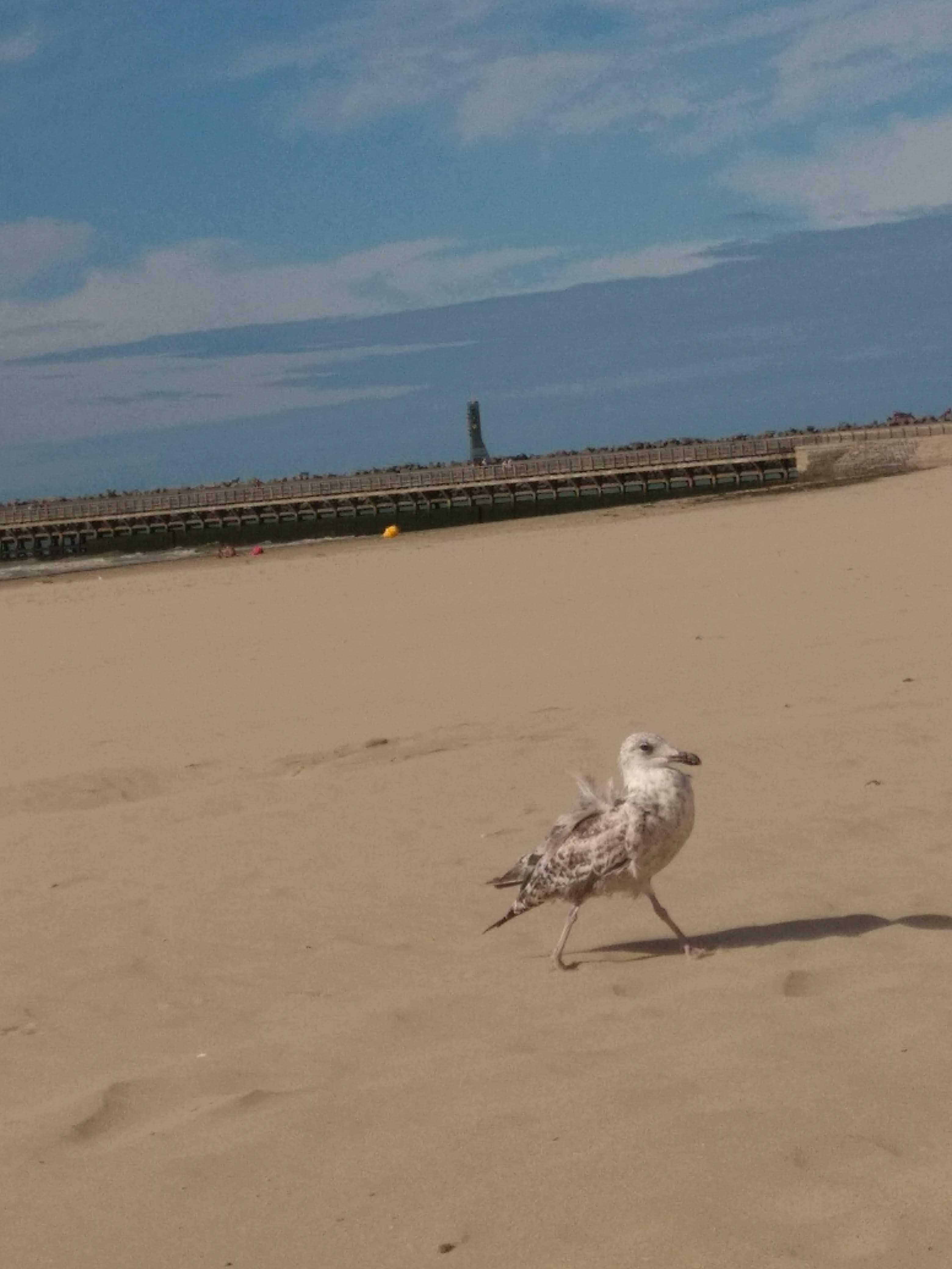 Photo n° 6 de l'avis de liberte.h fait le 02/08/2018 à 12:56