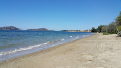 Paralia Gialova'in fotoğrafı imkanlar alanı