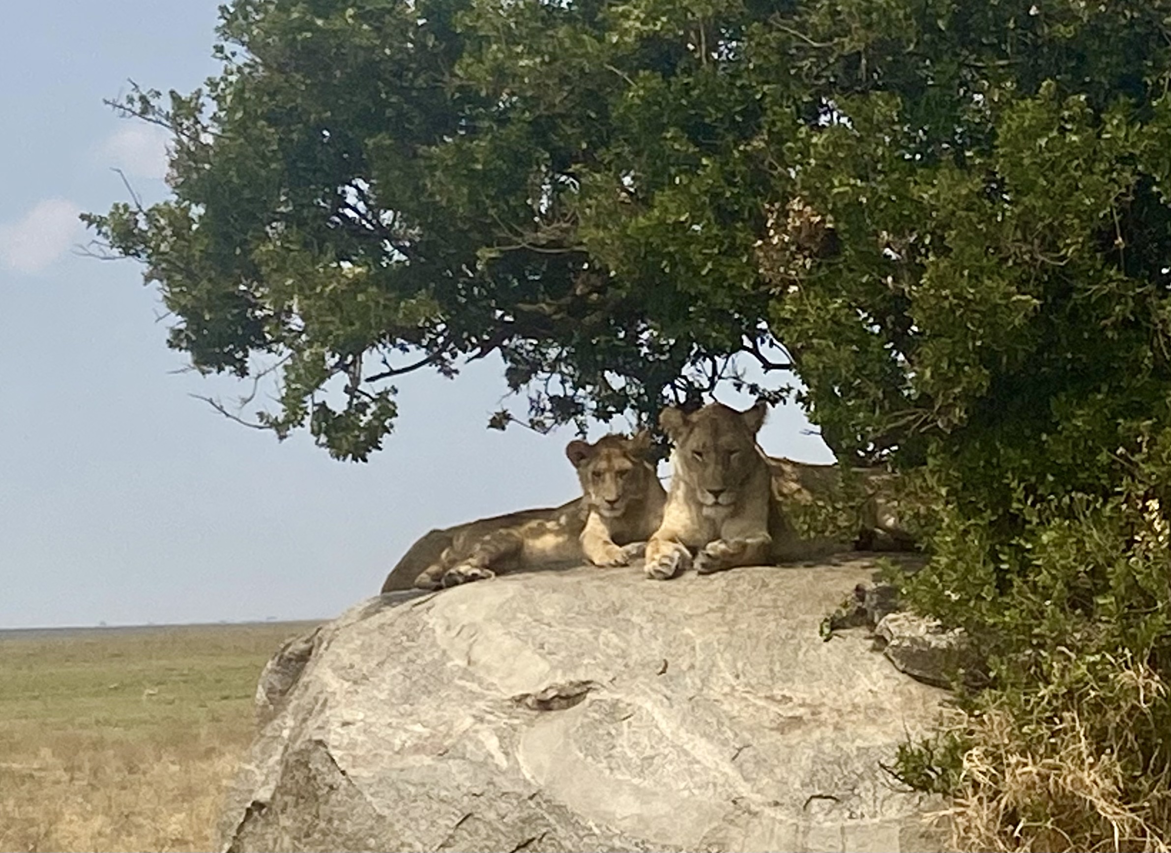 Photo n° 3 de l'avis de Valérie.e fait le 11/08/2021 à 17:23