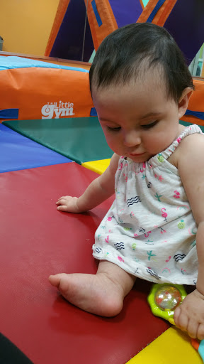 Gymnastics Center «The Little Gym of Houston-Bellaire», reviews and photos, 8415 Stella Link Rd, Houston, TX 77025, USA