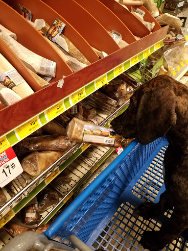 Pet Supply Store «PetSmart», reviews and photos, 6870 Ridge Rd, Parma, OH 44129, USA