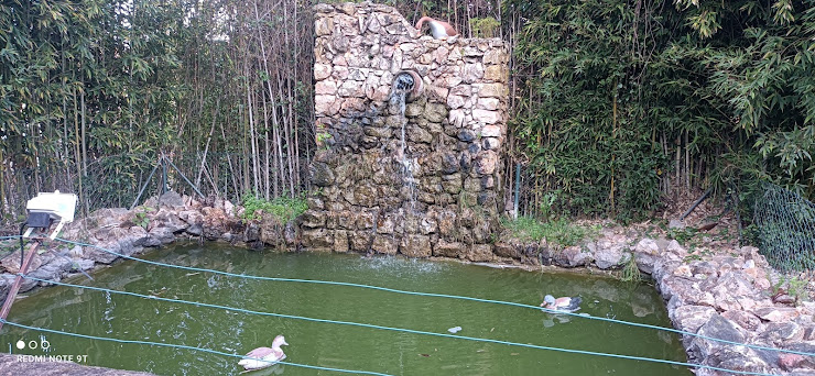 Les plus récentes hôtels Hotel Colina dos Mouros 8300-999 Silves