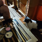 Photo n° 1 de l'avis de Anaïs.d fait le 01/11/2022 à 21:17 pour La Maou Brustiade | Gîte, Chambre d'hôtes à Trets