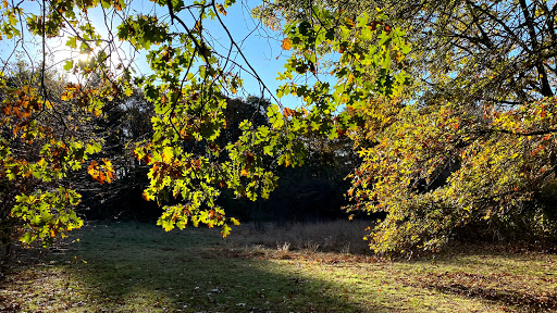 Park «Norumbega Park», reviews and photos, 2285 Commonwealth Avenue, Auburndale, MA 02466, USA