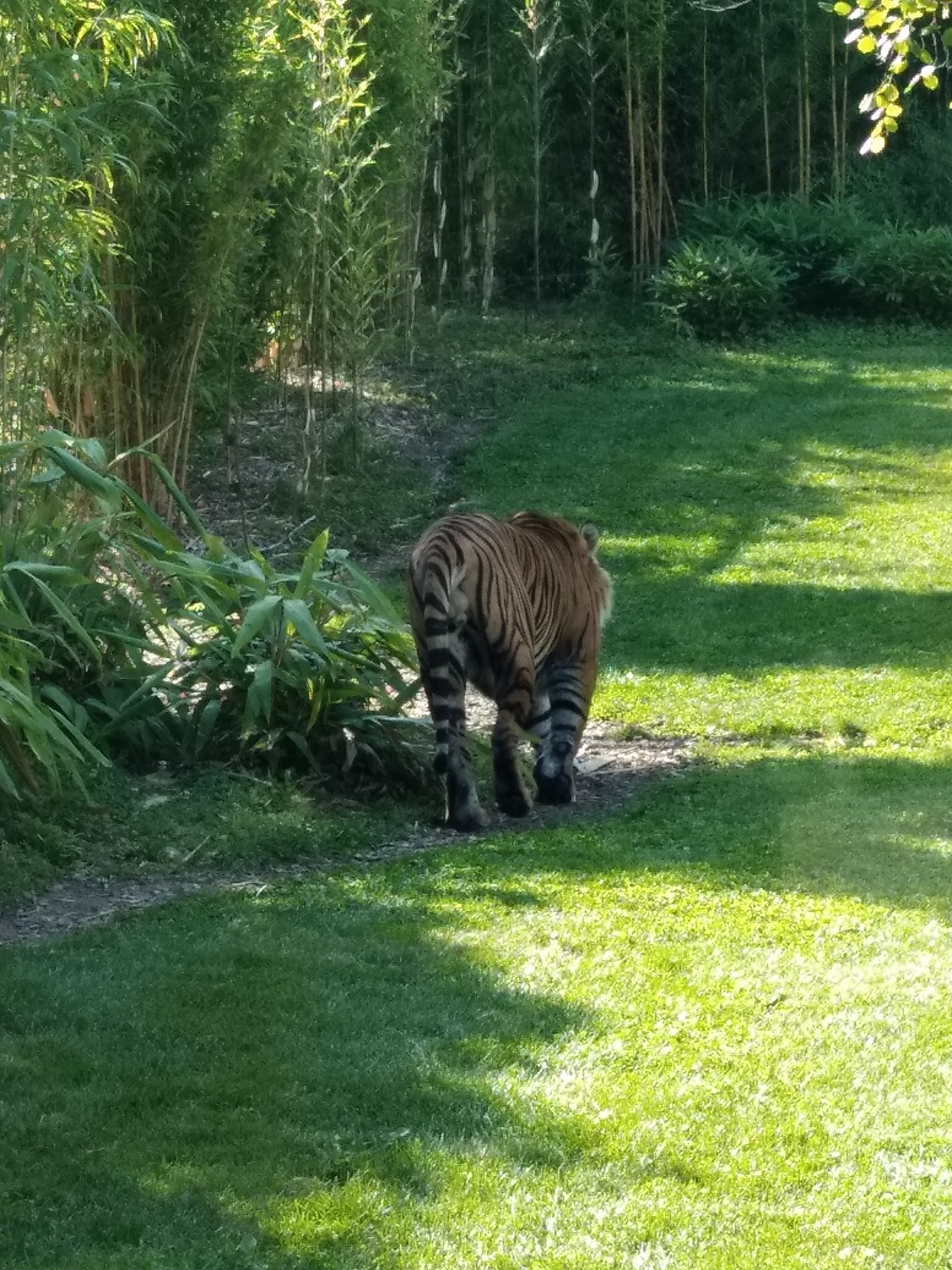 Photo n° 16 de l'avis de carine.a fait le 25/08/2019 à 20:31