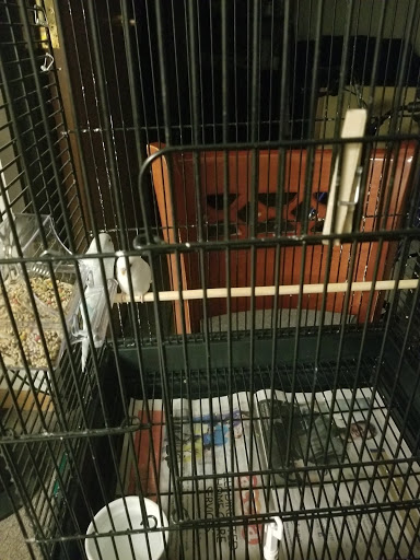 Pet Supply Store «Petco Animal Supplies», reviews and photos, 7625 Jolly Ln, Brooklyn Park, MN 55428, USA