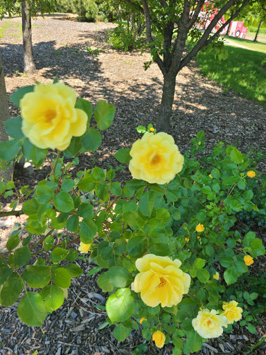 Park «Vogelei Park & Barn», reviews and photos, 650 W Higgins Rd, Hoffman Estates, IL 60169, USA