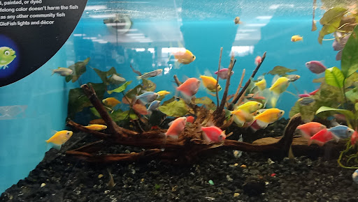 Pet Supply Store «Pet Supermarket», reviews and photos, 5805 State Bridge Rd, Duluth, GA 30097, USA