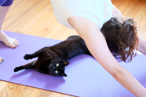 Adeline Yoga image