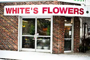 White's Flowers image