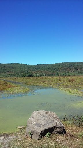 Winery «Bashakill Vineyards», reviews and photos, 1131 S Rd, Wurtsboro, NY 12790, USA