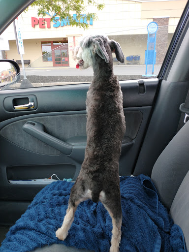 Pet Supply Store «PetSmart», reviews and photos, 67 Consumer Square, Plattsburgh, NY 12901, USA