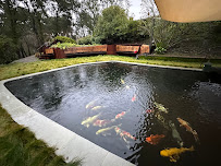 Bay Area Koi Ponds - Photo 3 - Car repair in , San Francisco
