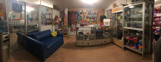 The Dog Shop