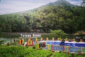 Telaga Bleder image