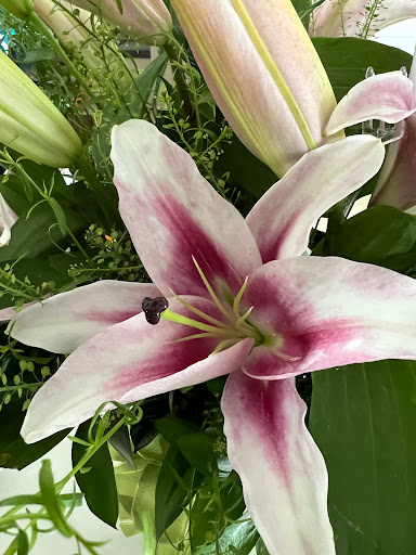 Florist «Garden Delights Fine Florist», reviews and photos, 2179 Hillsboro Rd, Franklin, TN 37069, USA