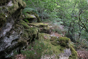 Photo n°8 de Gorges de la Canche à Roussillon-en-Morvan ()