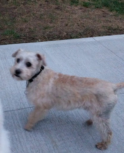 Pet Supply Store «Wag», reviews and photos, 2450 Harney St, Omaha, NE 68131, USA