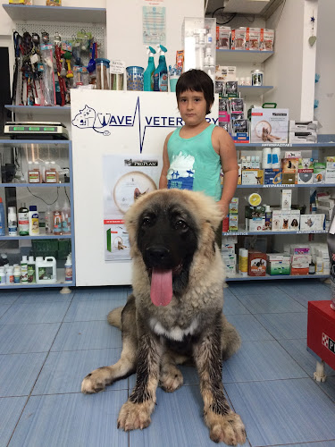 waveveterinary.ro