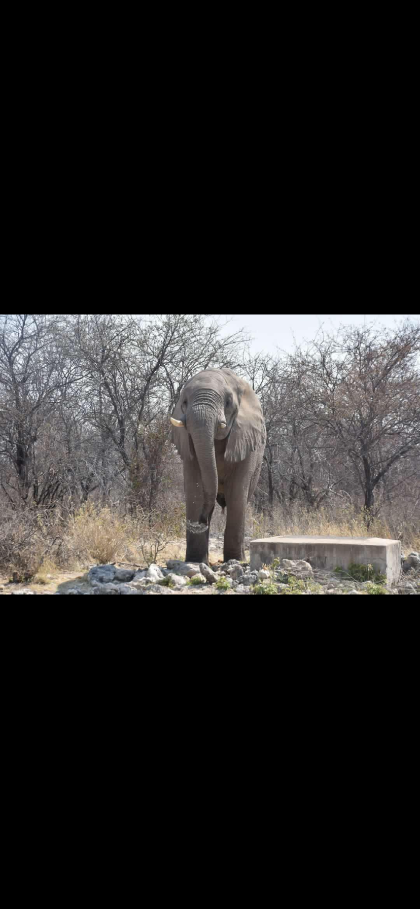 Photo n° 12 de l'avis de David.e fait le 21/03/2024 à 10:03