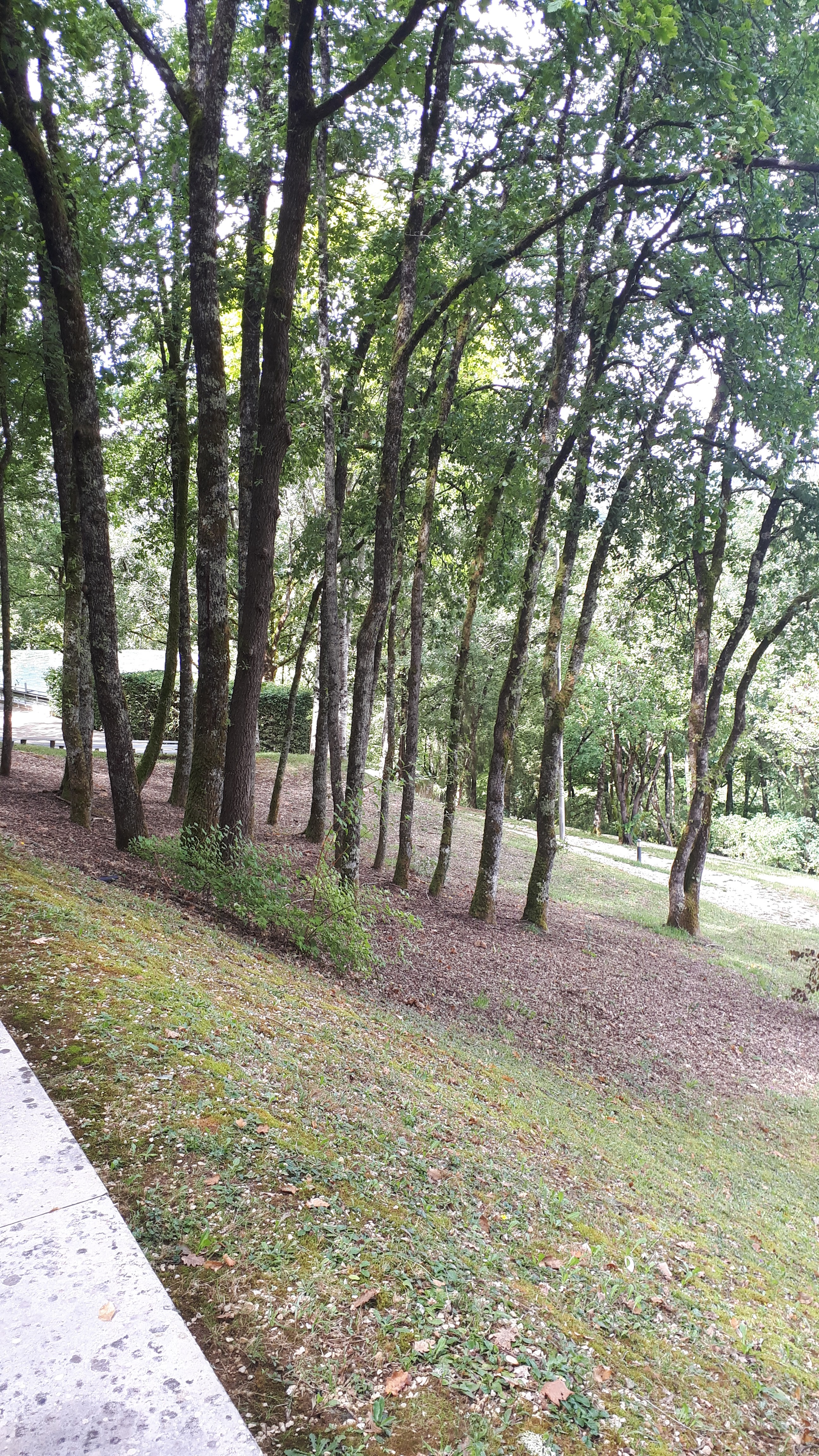 Photo n° 11 de l'avis de Cécile.i fait le 22/08/2020 à 17:28