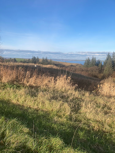 Feriekolonien Salgjerhøj