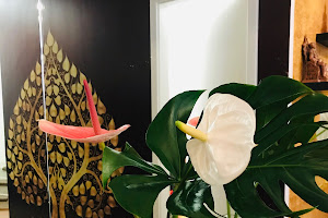 Dhara Thai Massage Studio Stuttgart