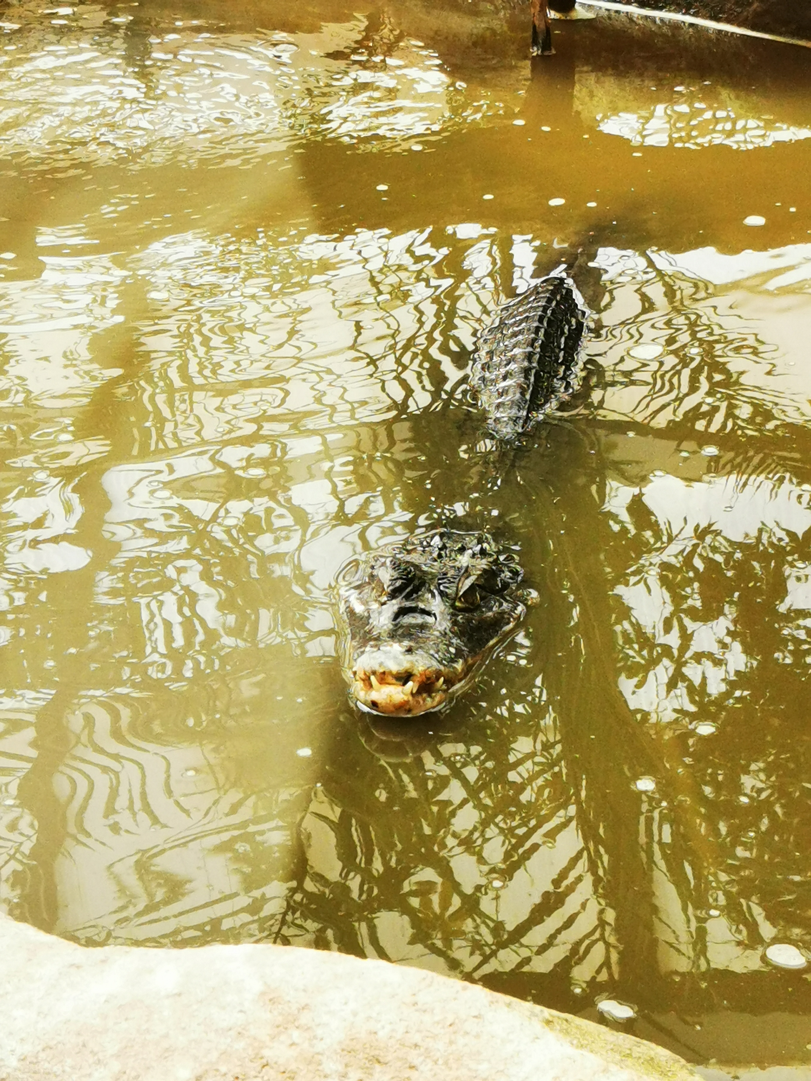 Photo n° 2 de l'avis de Aurelie.e fait le 03/08/2021 à 14:30