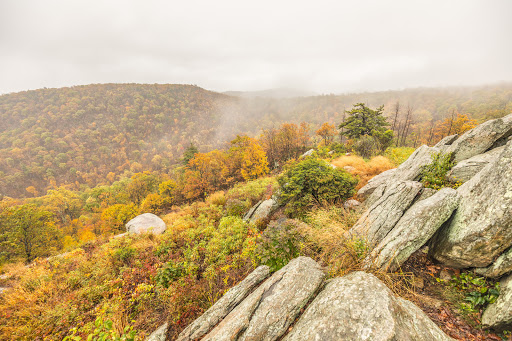 National Park «Shenandoah National Park», reviews and photos