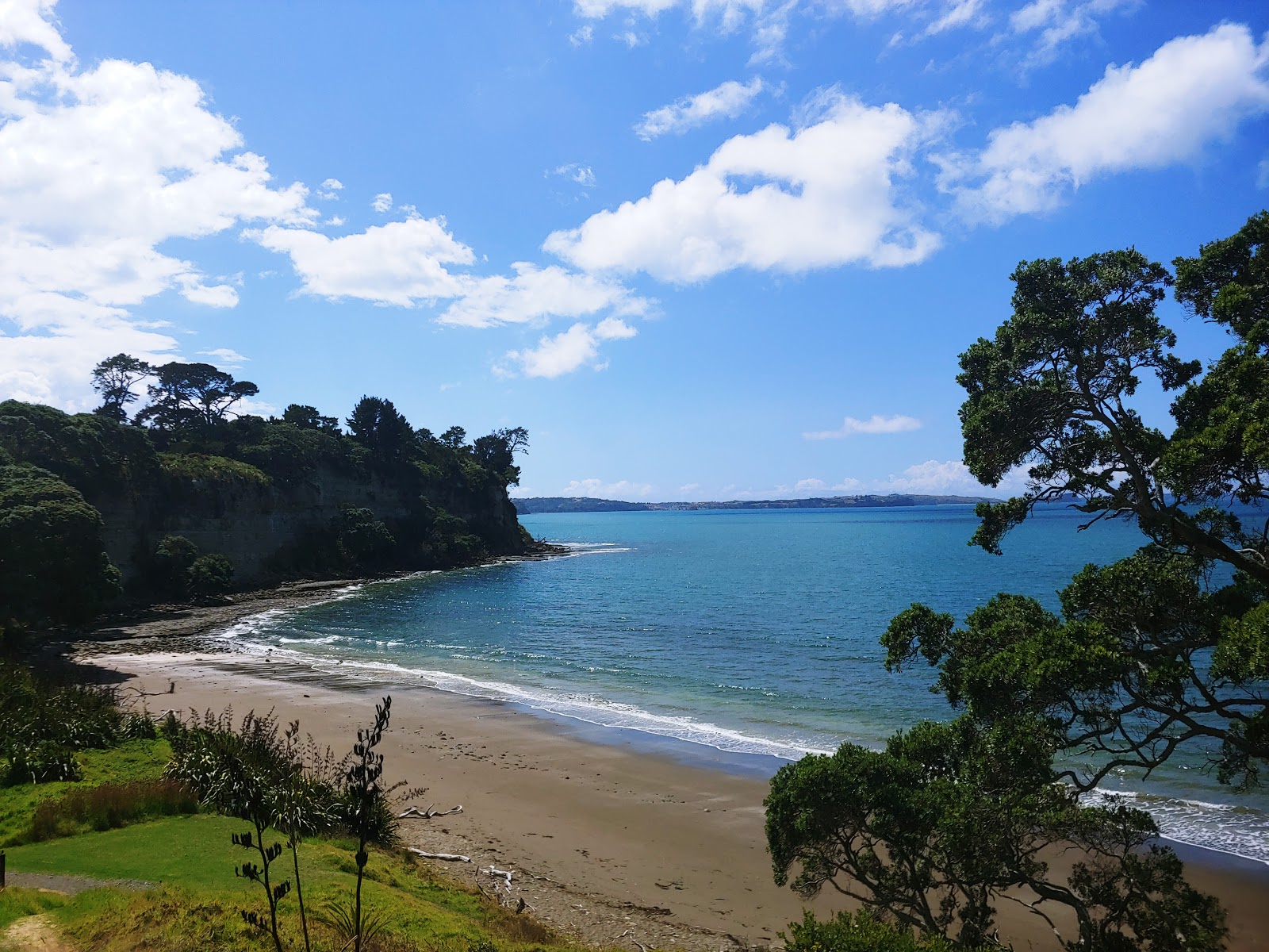 Foto av Pohutukawa Bay Beach och dess vackra landskap