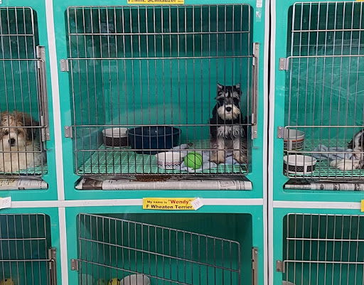 Pet Supply Store «Pet Palace Inc», reviews and photos, 253 Scranton Carbondale Hwy, Scranton, PA 18508, USA