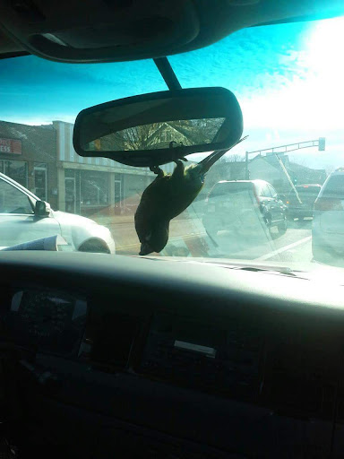 Hardware Store «Harlem Foster Hardware Inc.», reviews and photos, 7230 W Foster Ave, Chicago, IL 60656, USA