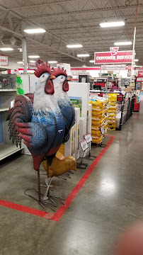 Tractor Supply Co. - Photo 6 - Car repair in Indianapolis, IN, Indianapolis