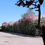 Photo n°1 de l'avis de Stanislava.a fait le 25/06/2022 à 08:43 sur le  Enea Hotel à Pomezia