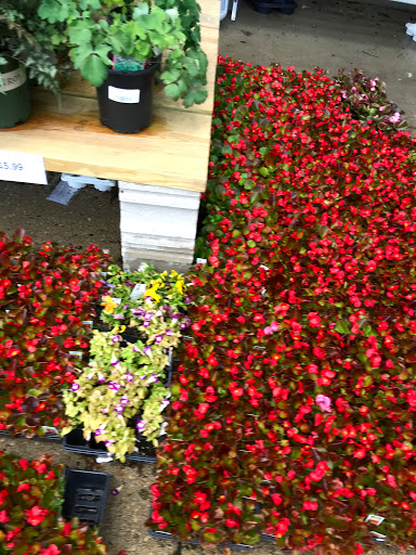 Hardware Store «Palatine Ace Hardware Inc», reviews and photos, 239 E Northwest Hwy, Palatine, IL 60067, USA