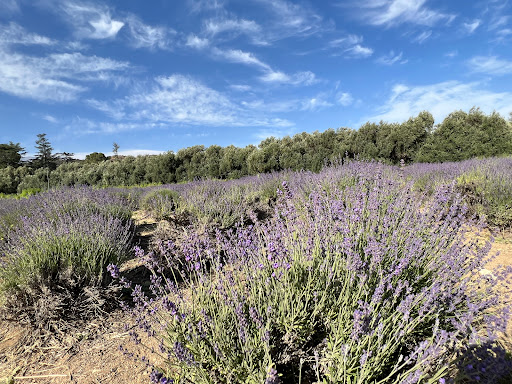 Organic farm Moreno Valley